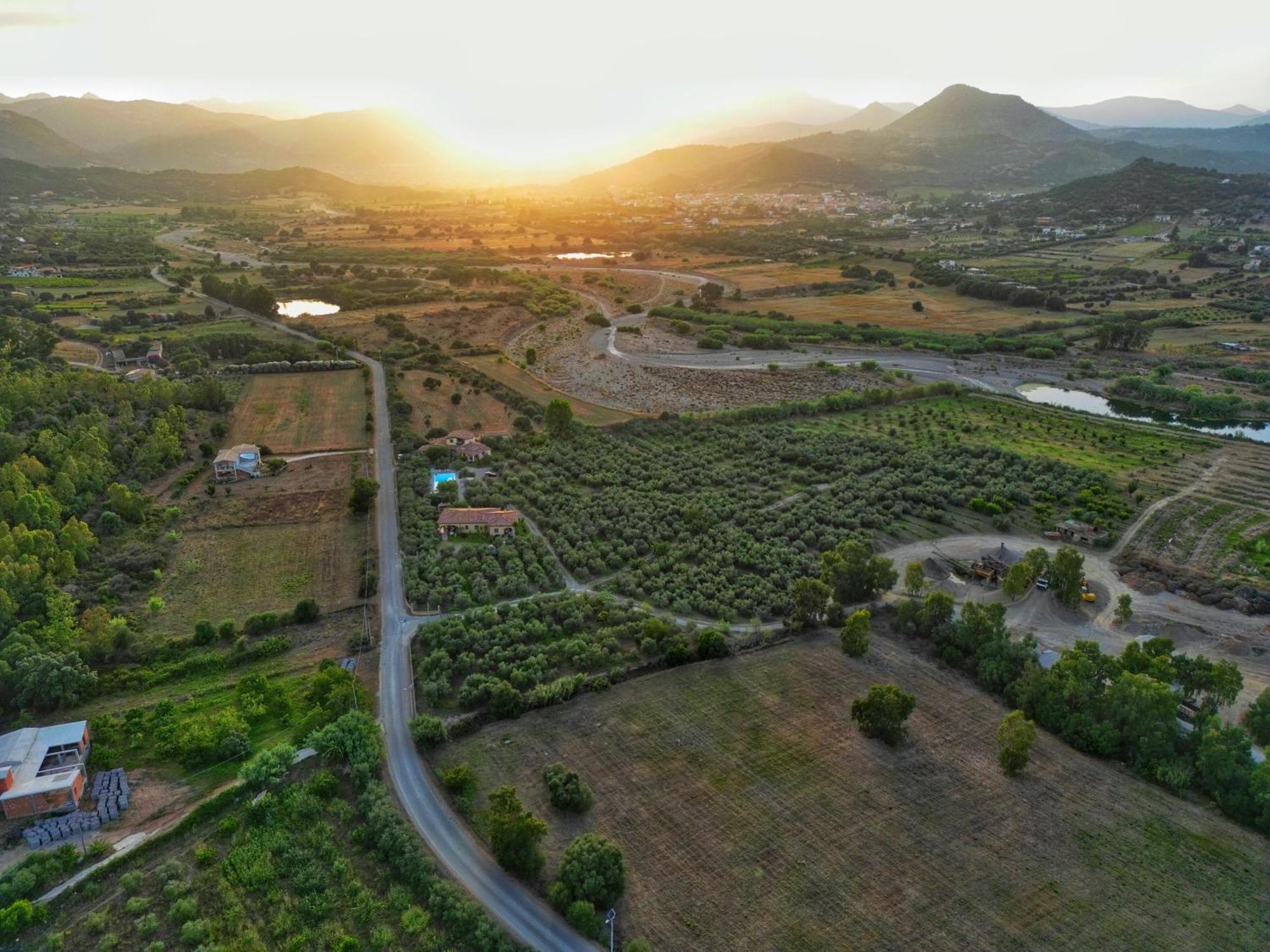 Armandiola Daire Cardedu Dış mekan fotoğraf